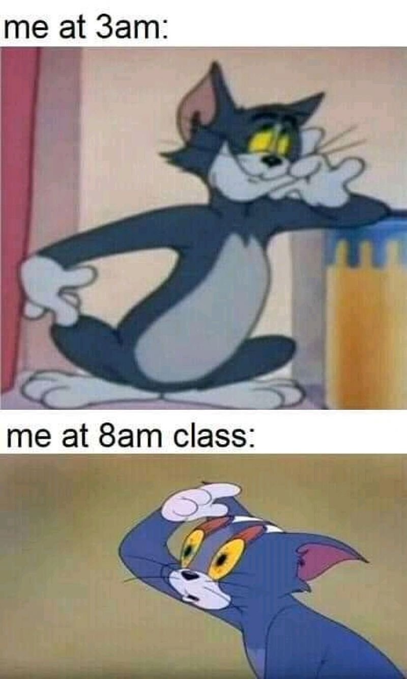funny tom and jerry meme