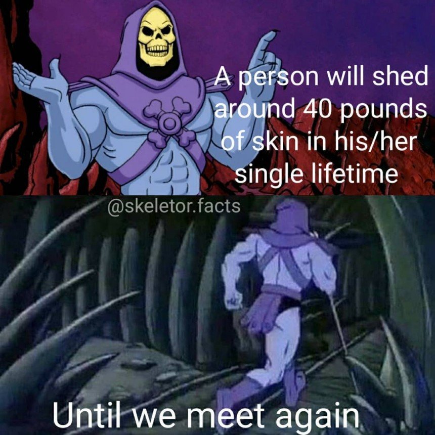 Skeletor Disturbing Facts Memes