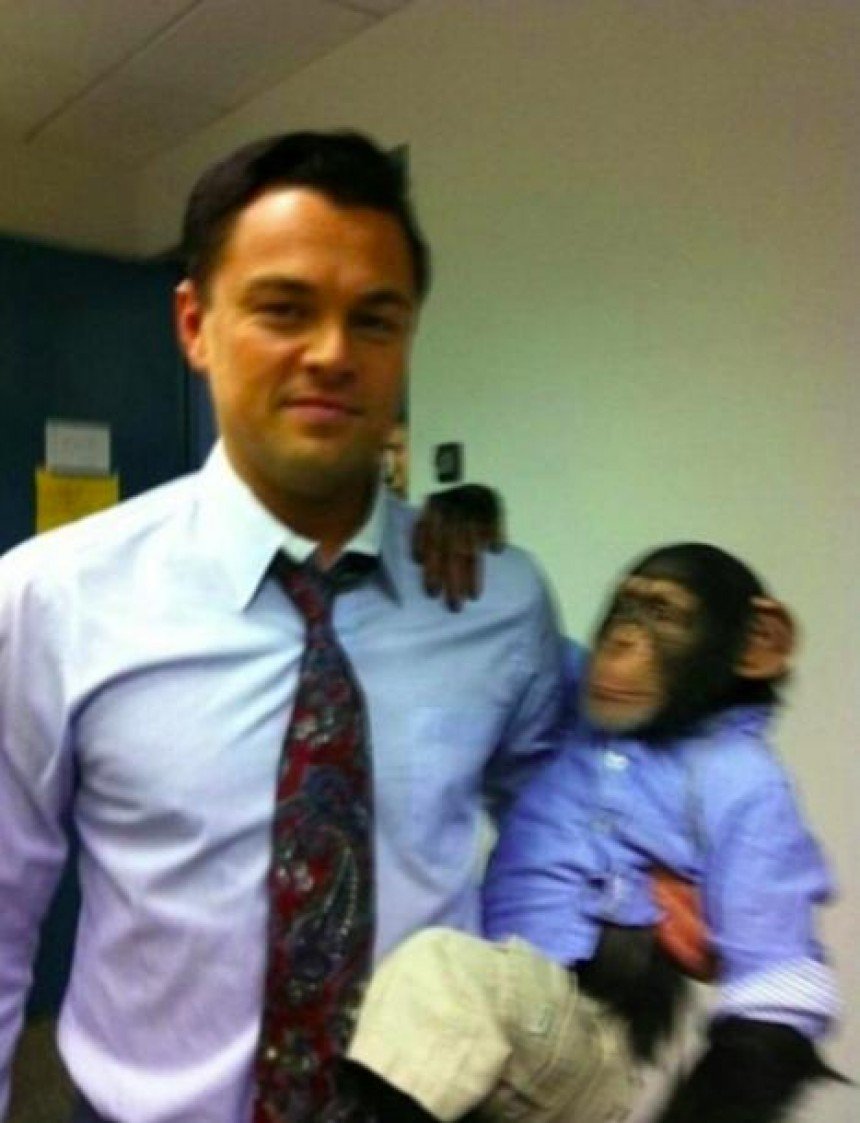 Leonardo DiCaprio Holding A Monkey